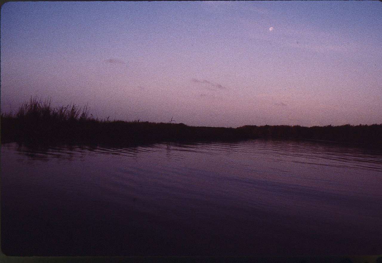 Sea Rim State Park