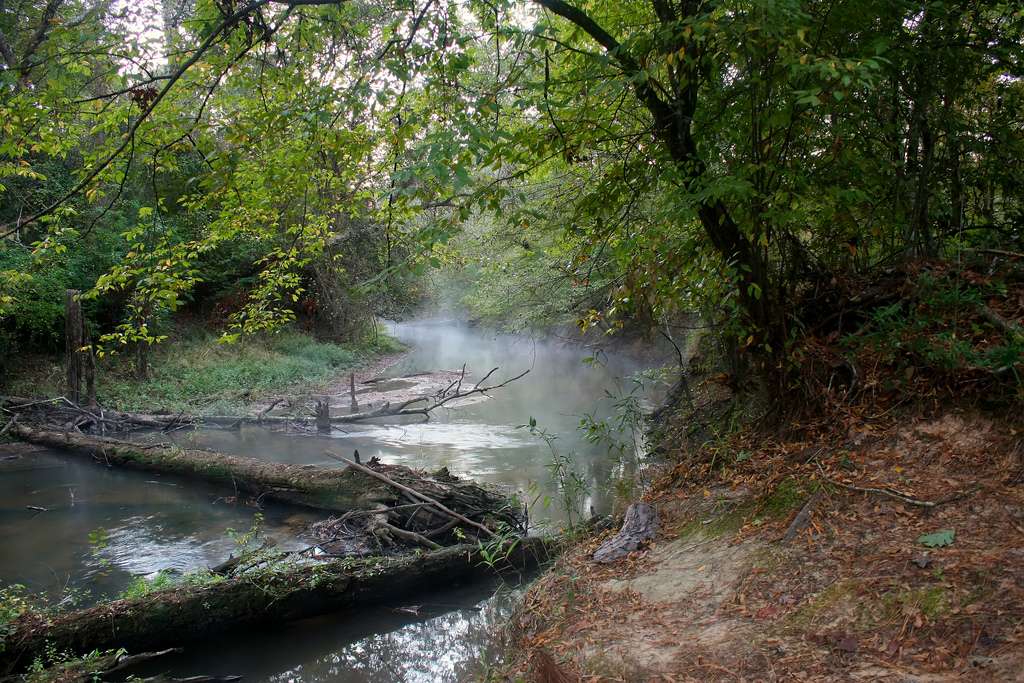 Big Thicket National Preserve