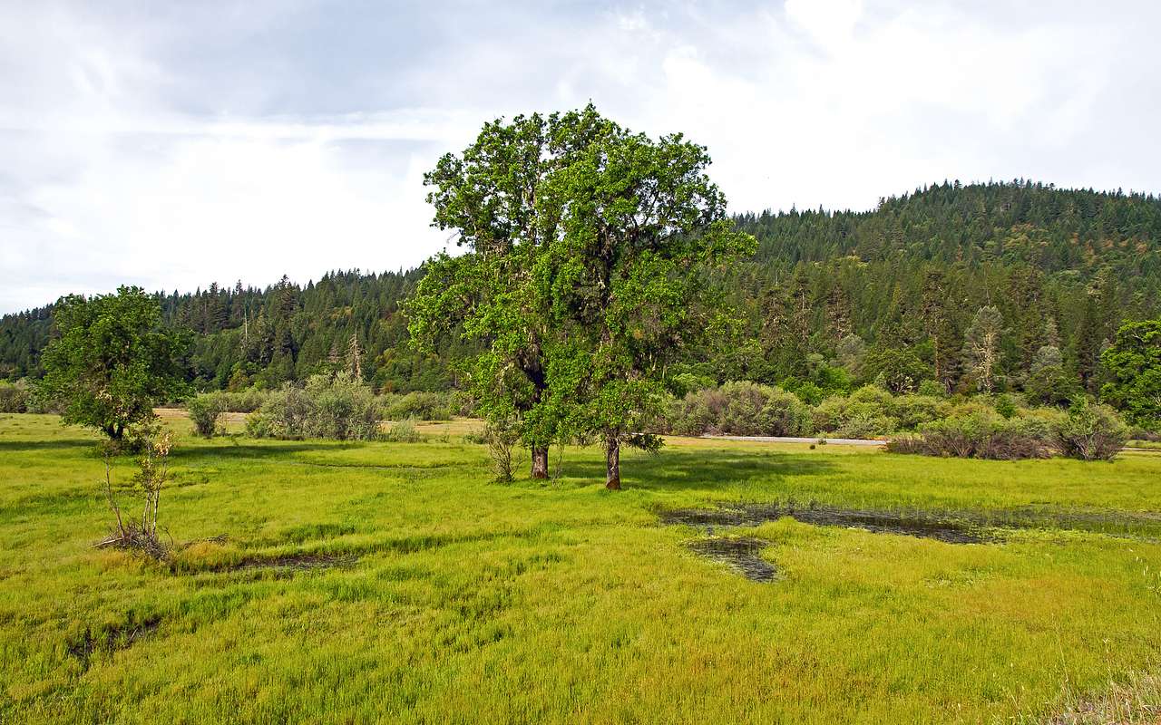 Middle Creek Campground