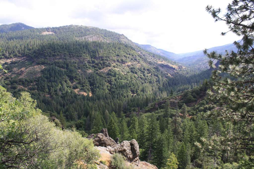 Big Pine Campground