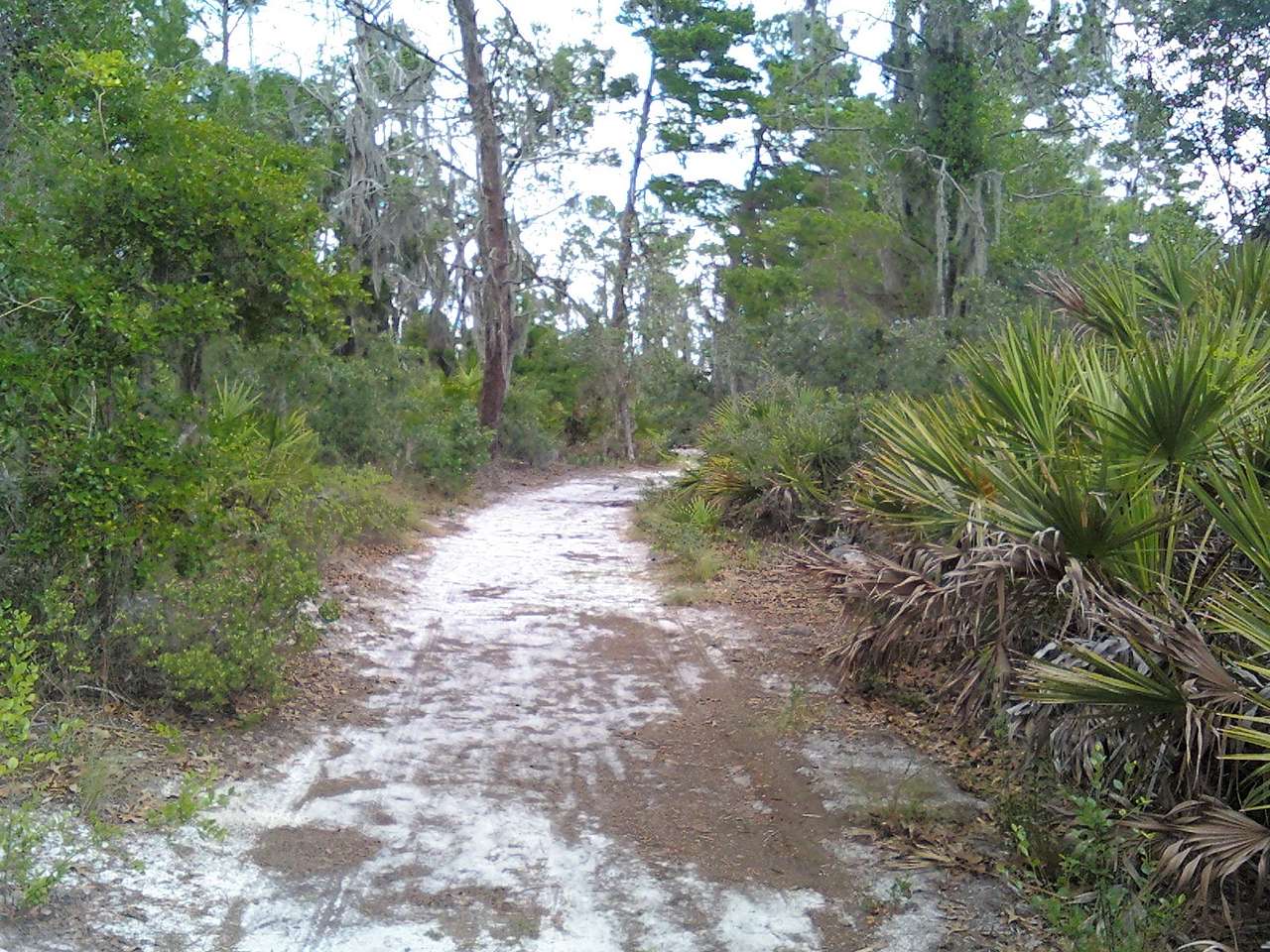 Lake Manatee State Park