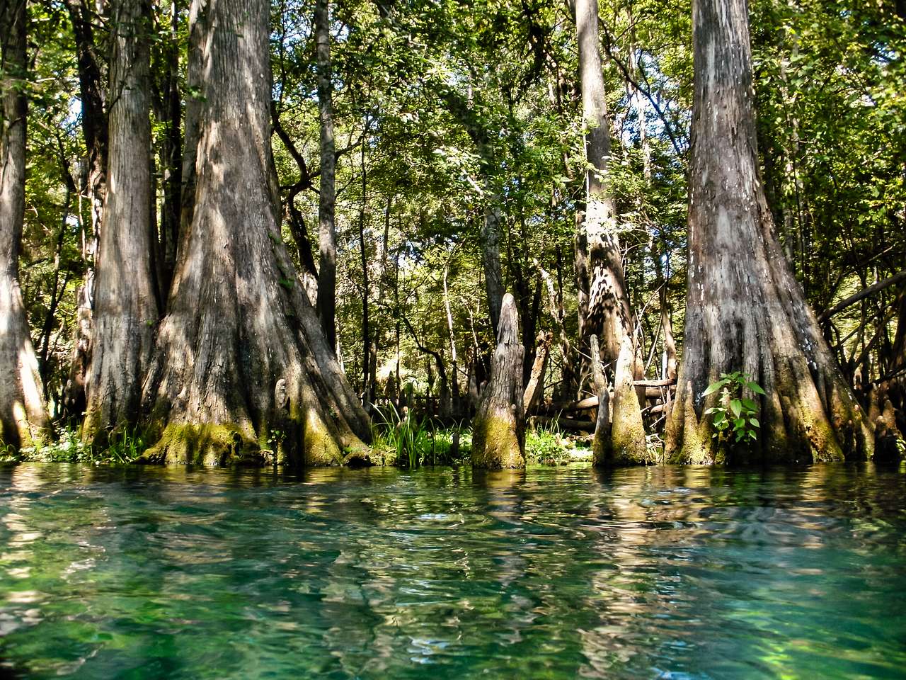 Manatee Springs Campground