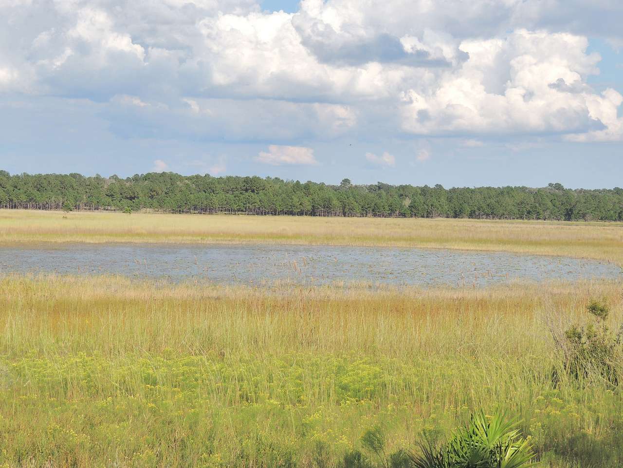 Primitive Campground