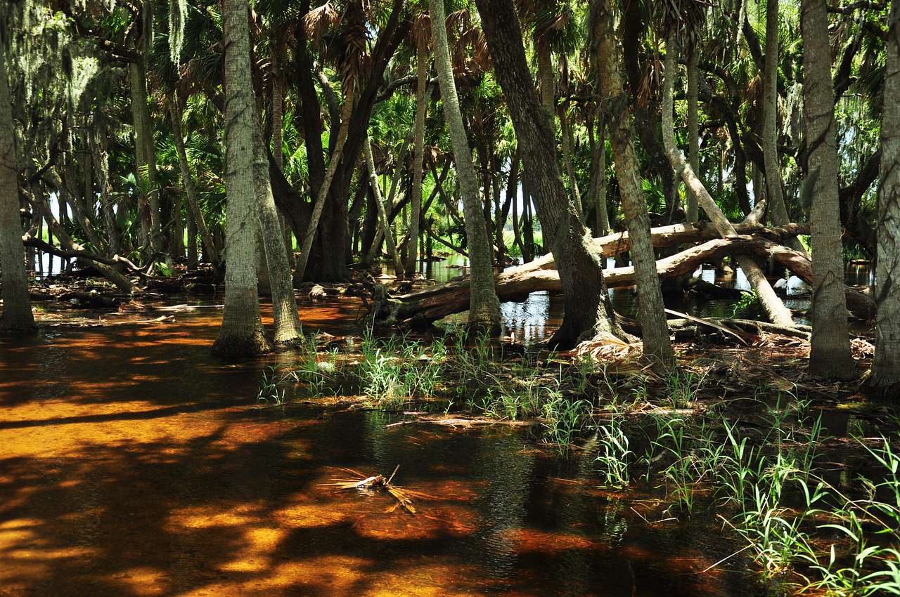Myakka River Cabins