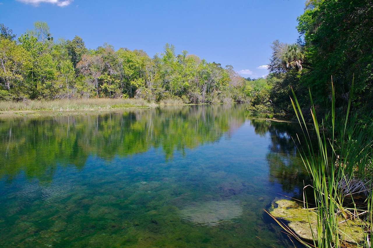 Lake Delancy East Campground