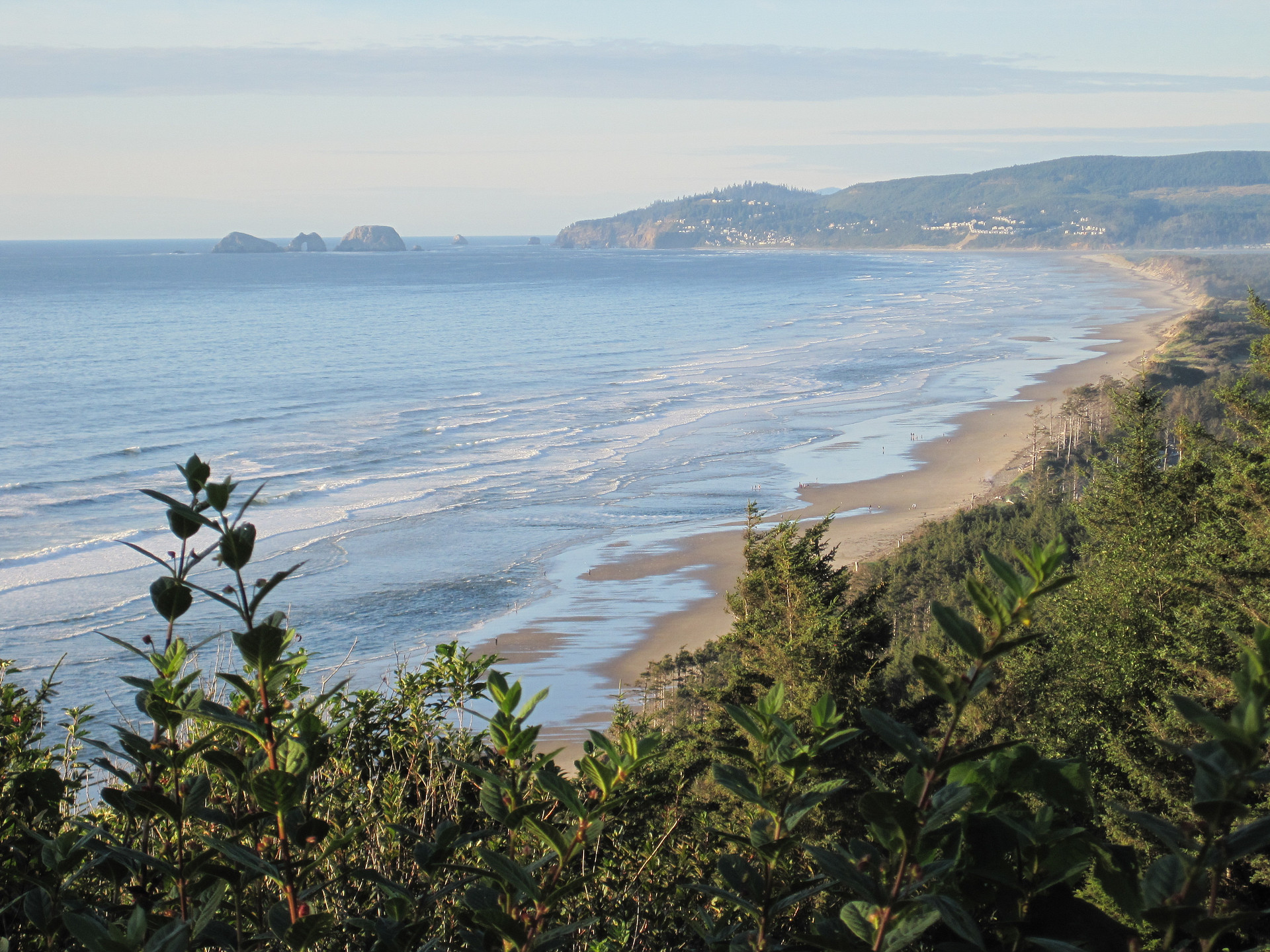 Cape Lookout Campground