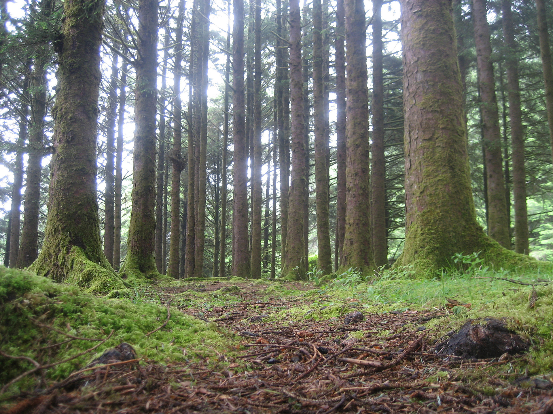 Carl G. Washburne Campground