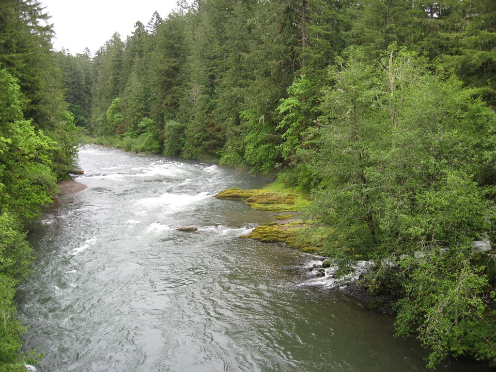Cascadia State Park