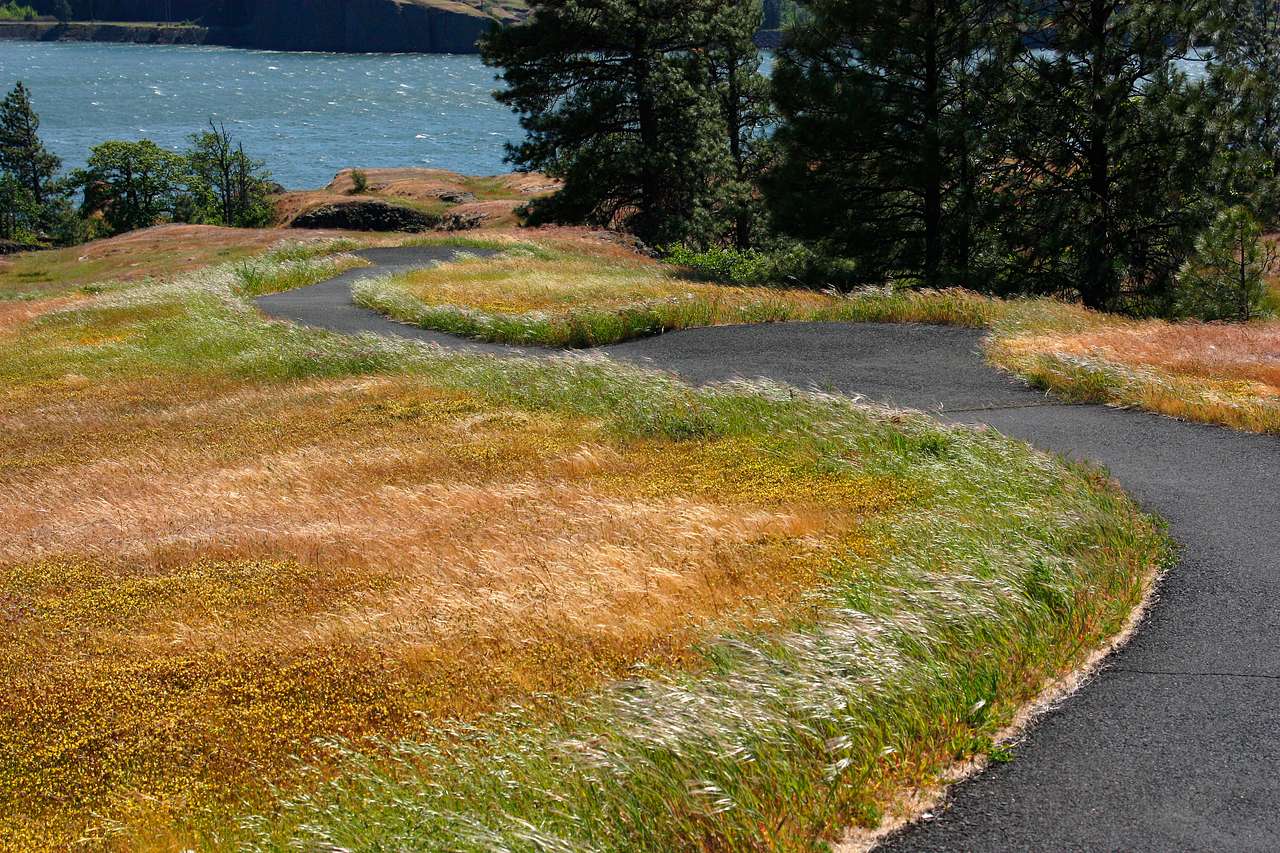 Catherine Creek State Park