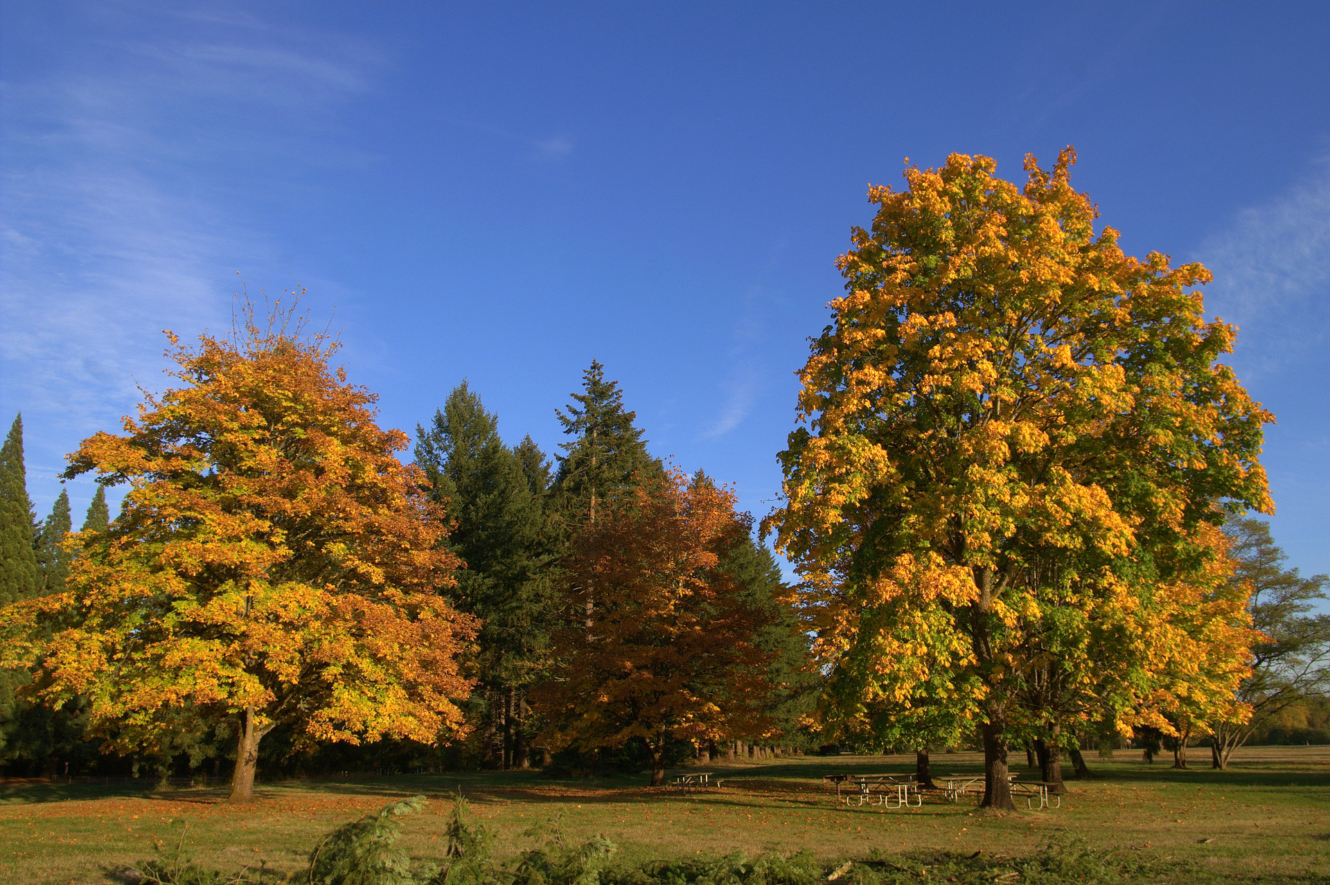 Champoeg State Heritage Area