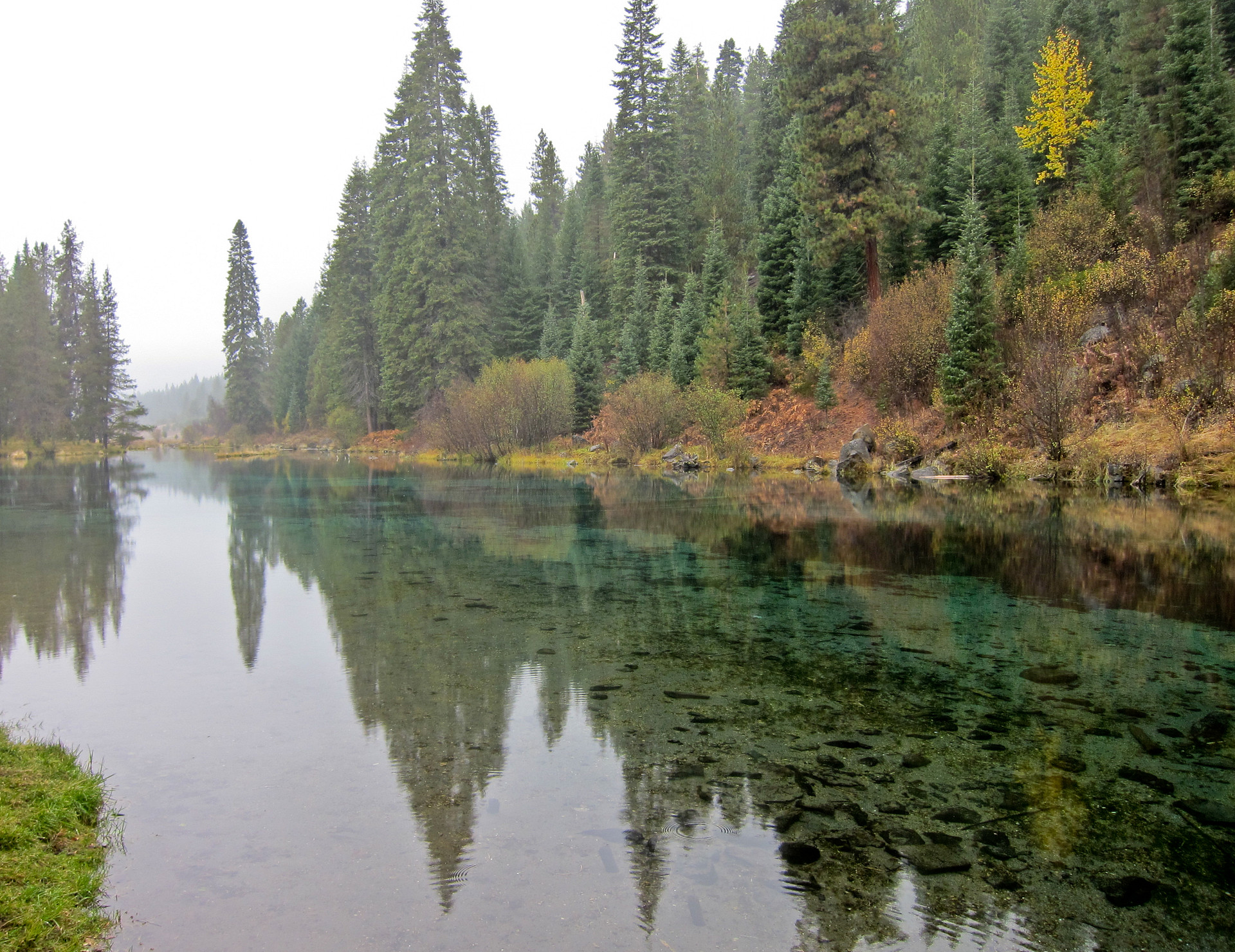 Jackson F. Kimball Campground