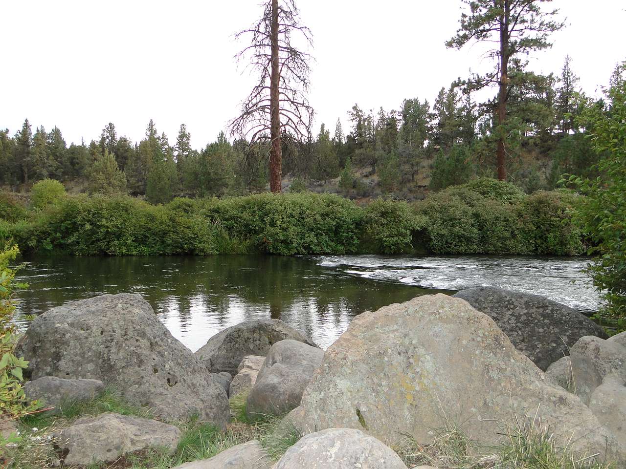 Tumalo Campground
