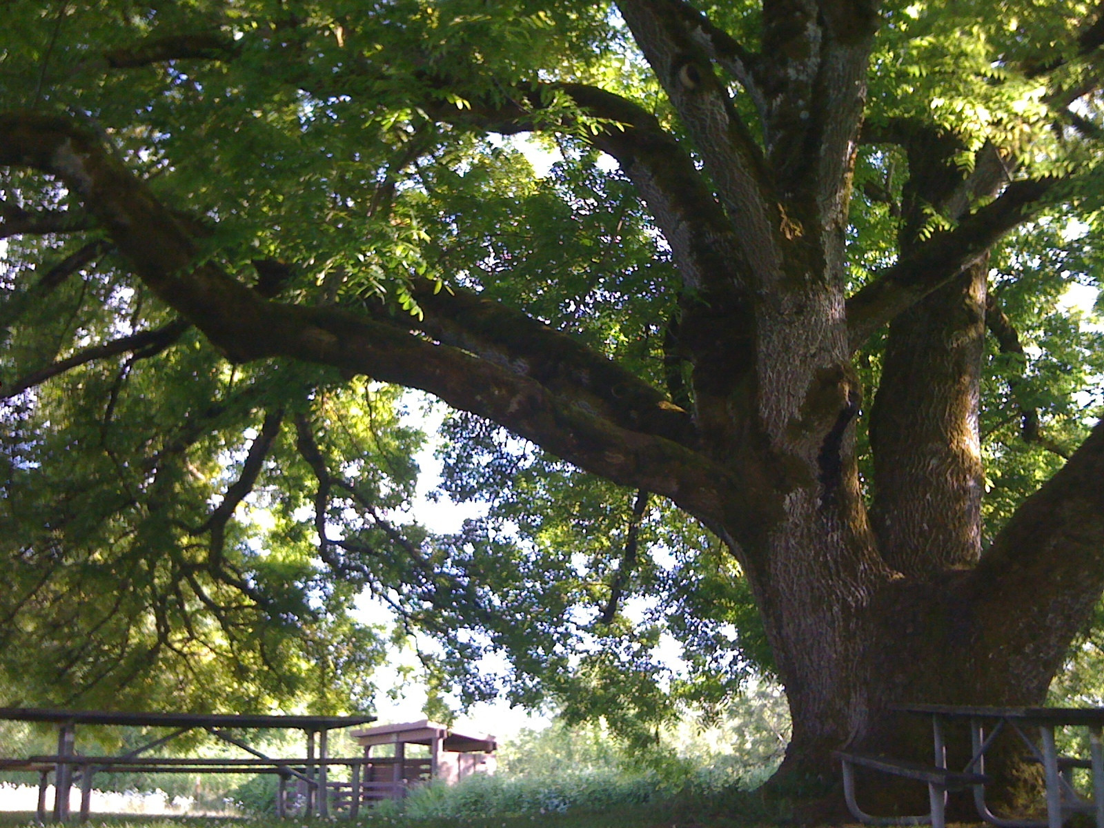 Willamette Mission State Park