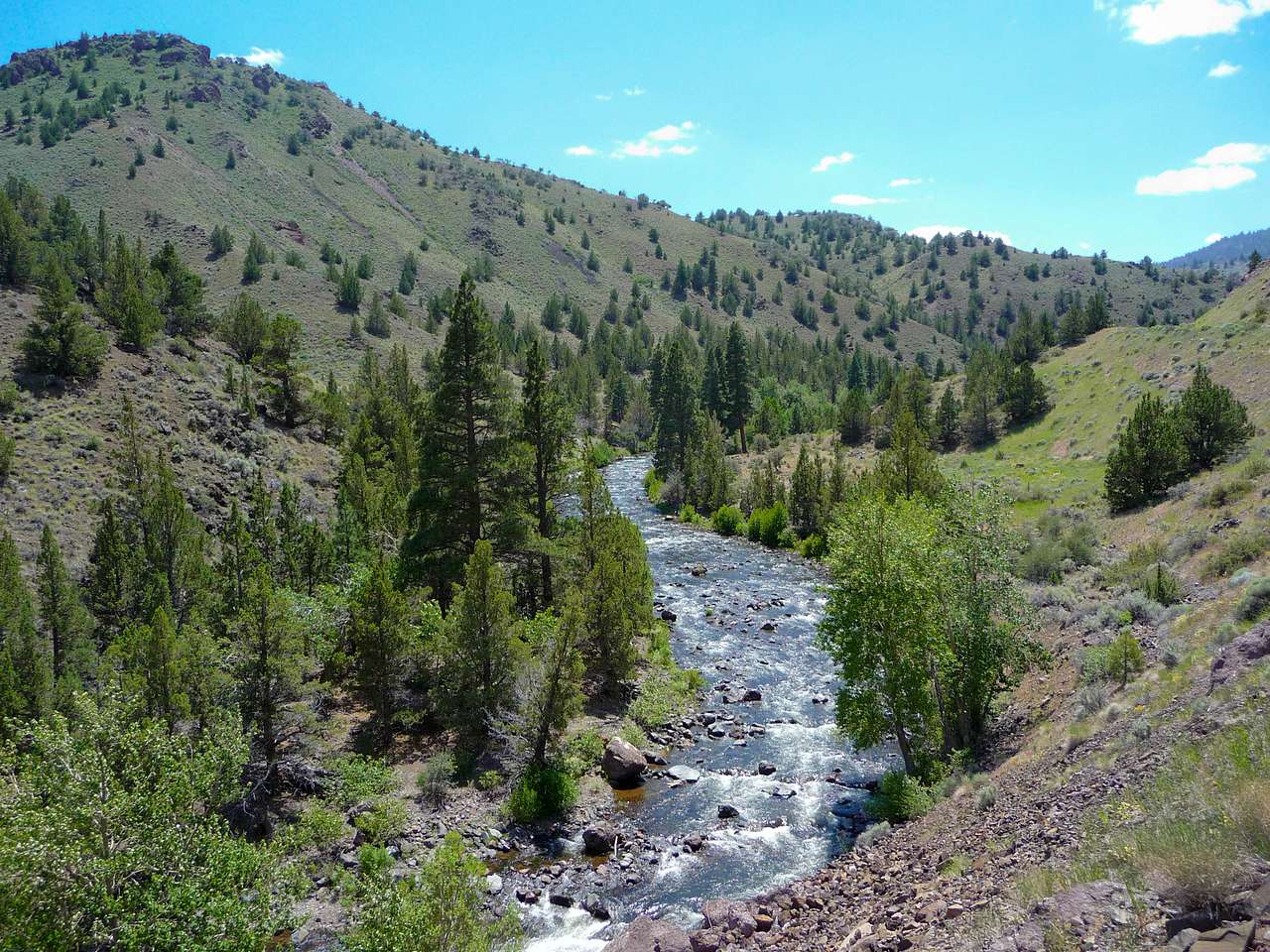 Aspen Point Campground