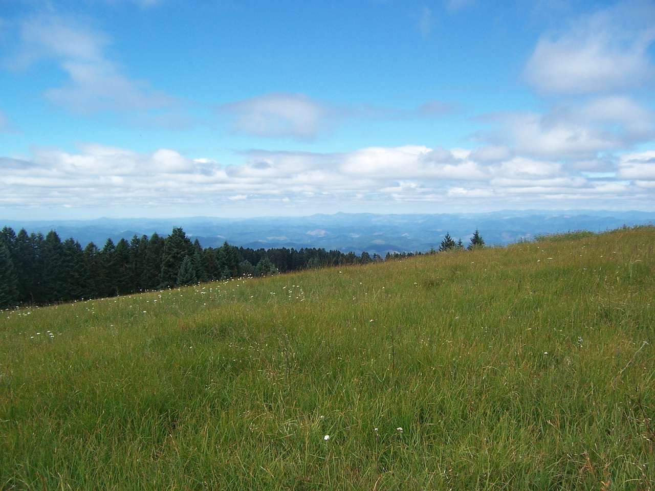 Siuslaw National Forest