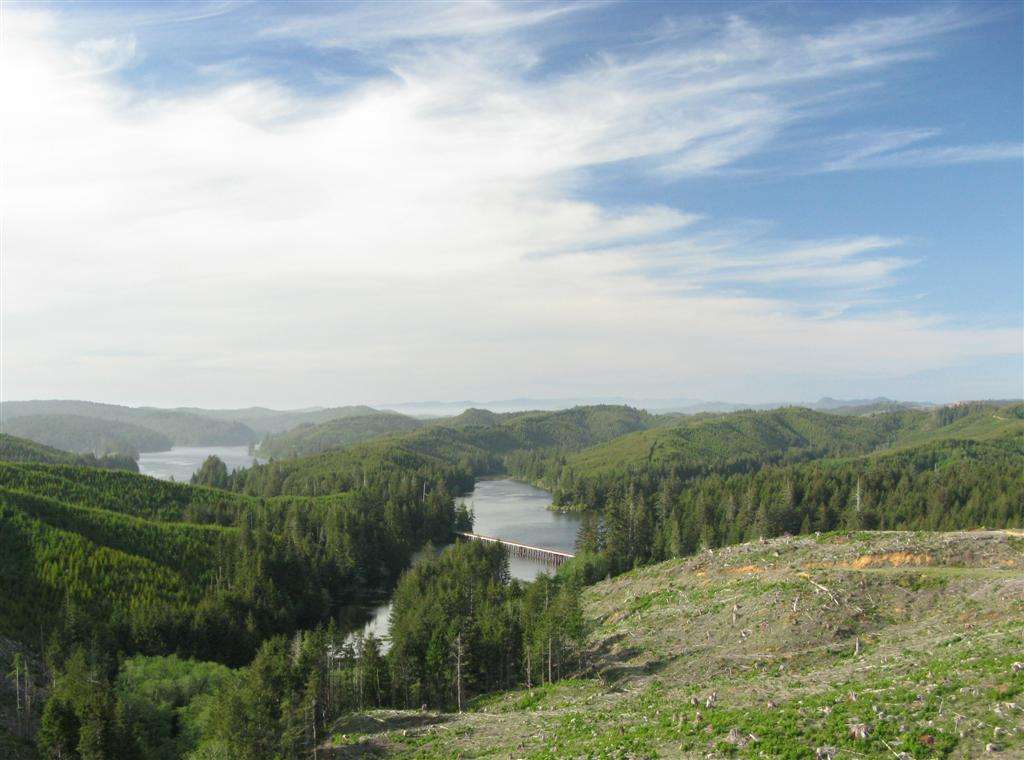 Spinreel Campground