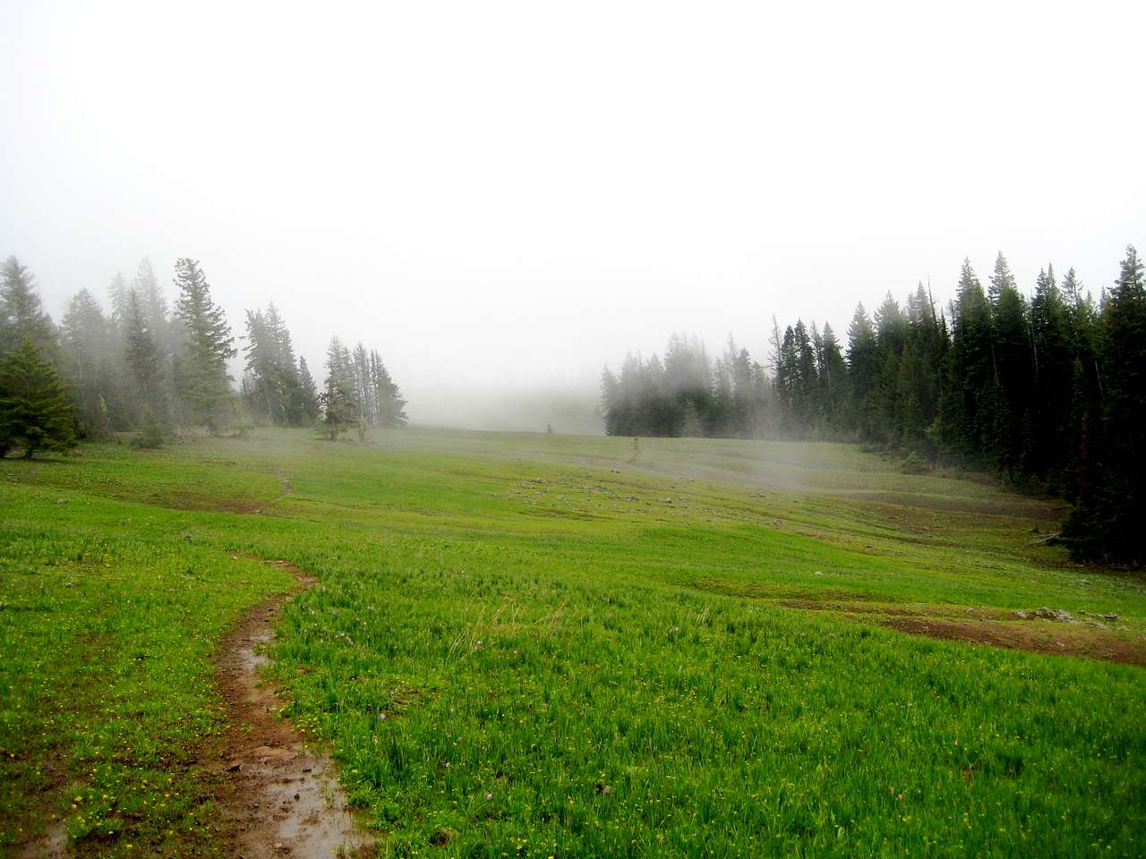 Wickiup Campground