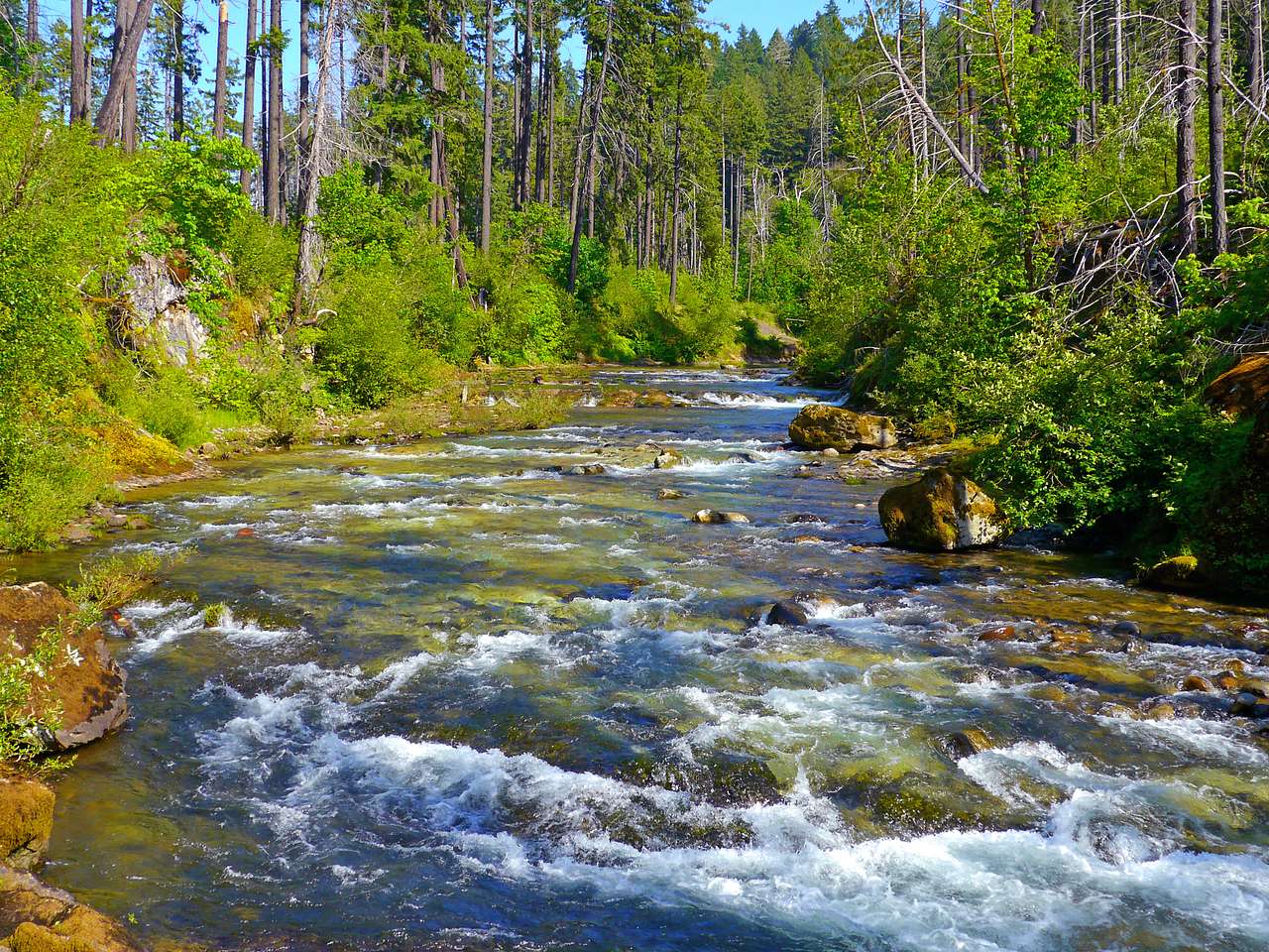 Humbug Campground