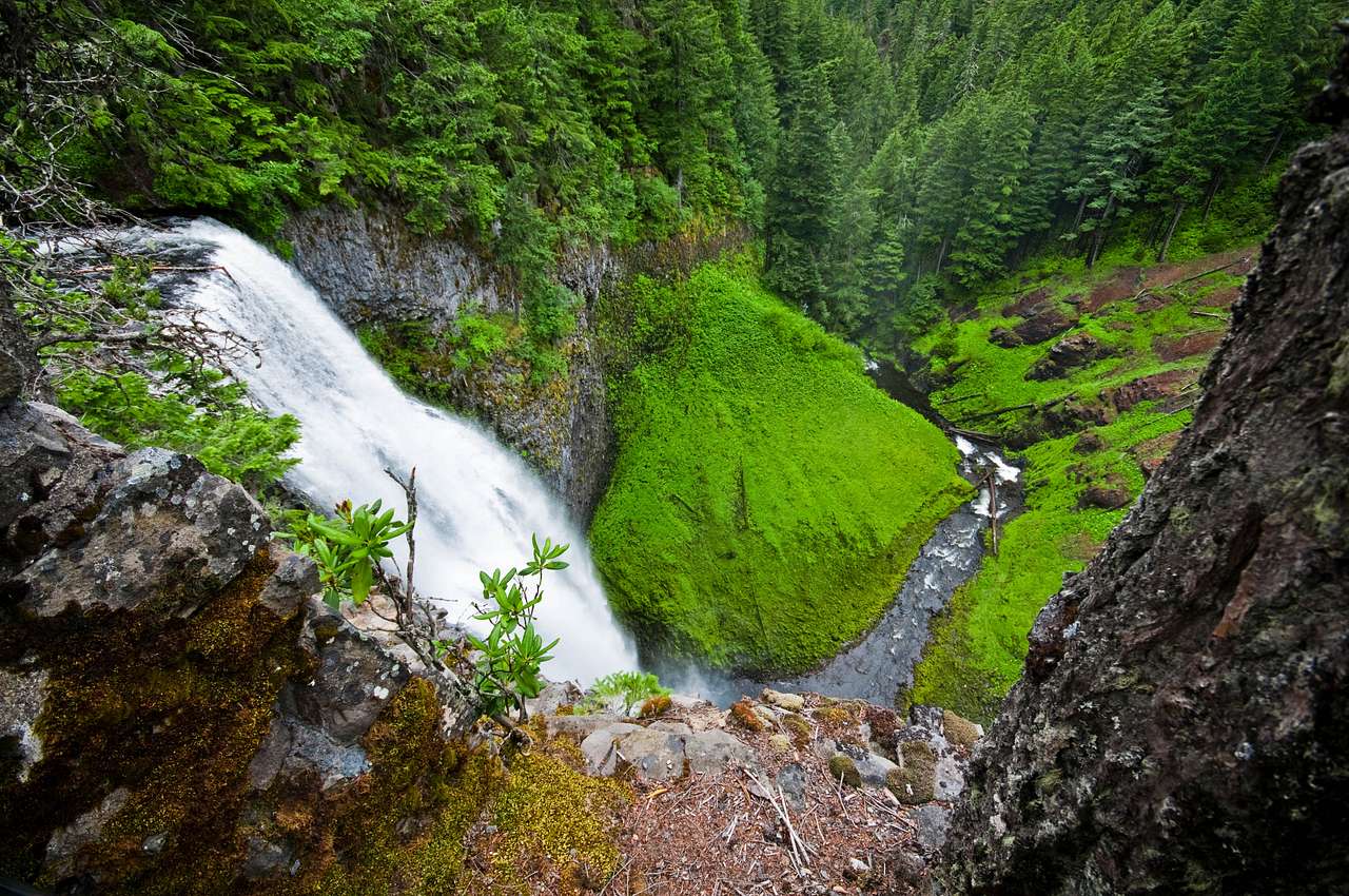 McKenzie Bridge Campground