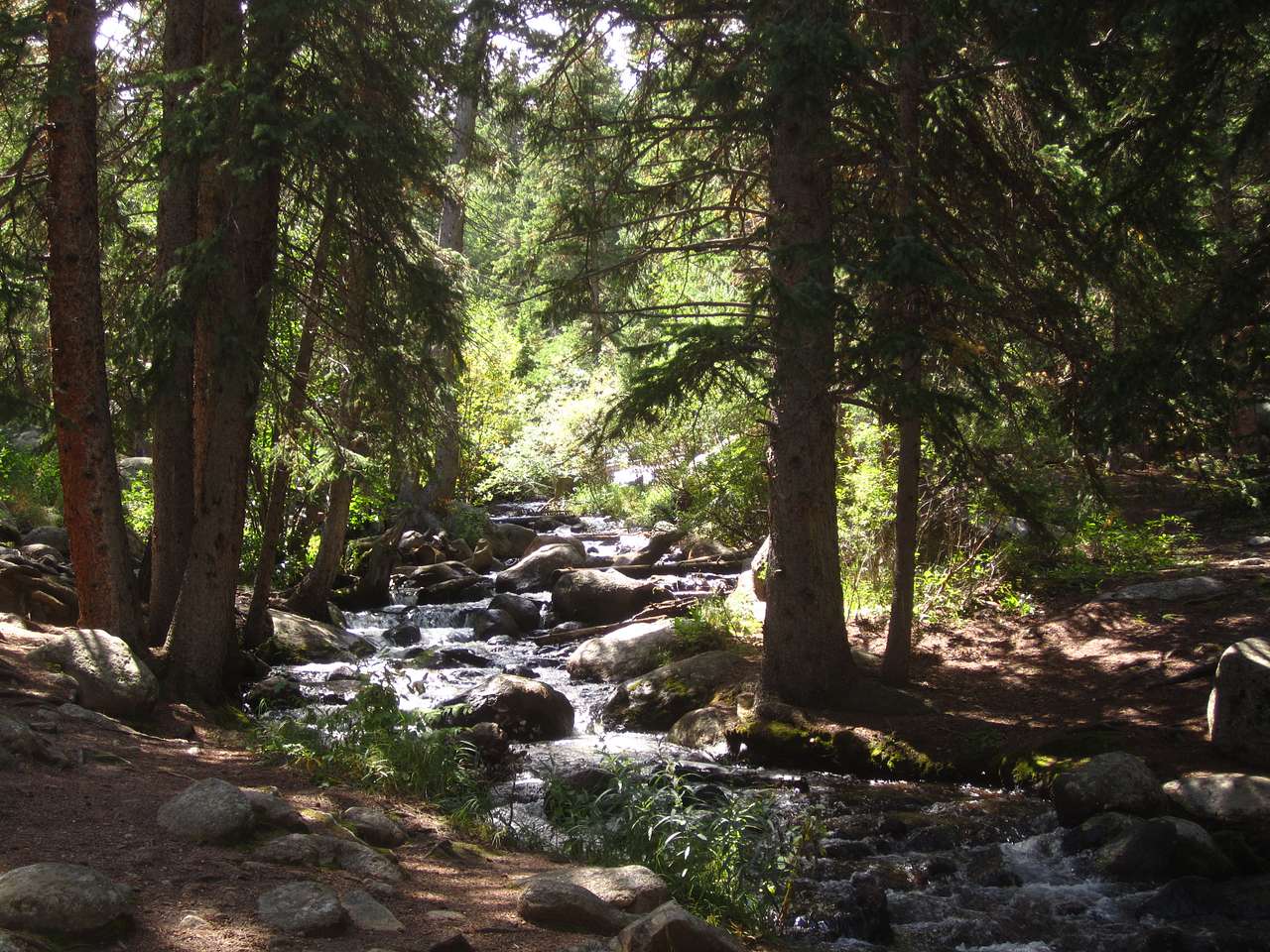 Cold Springs Campground
