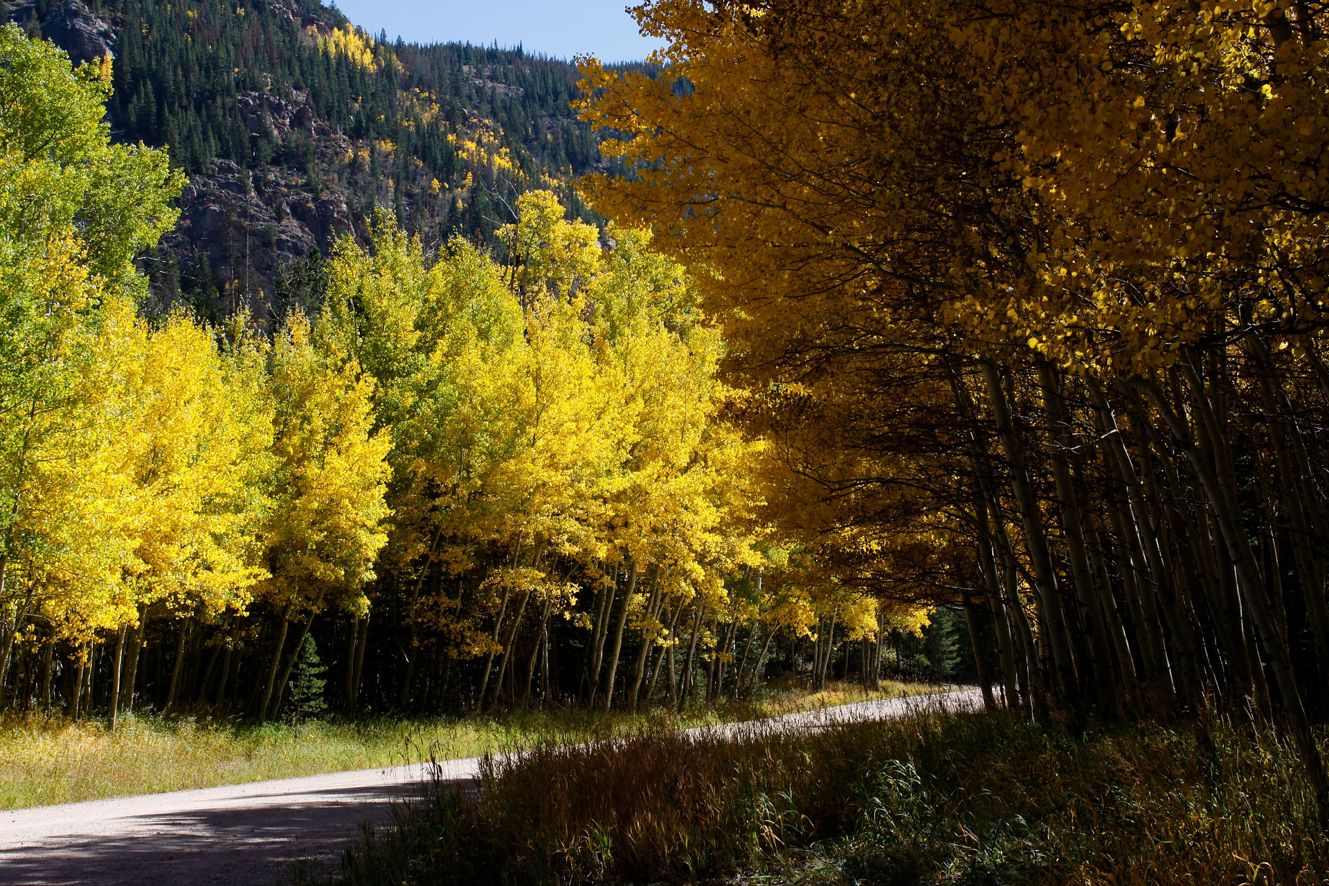 Tom Bennett Campground
