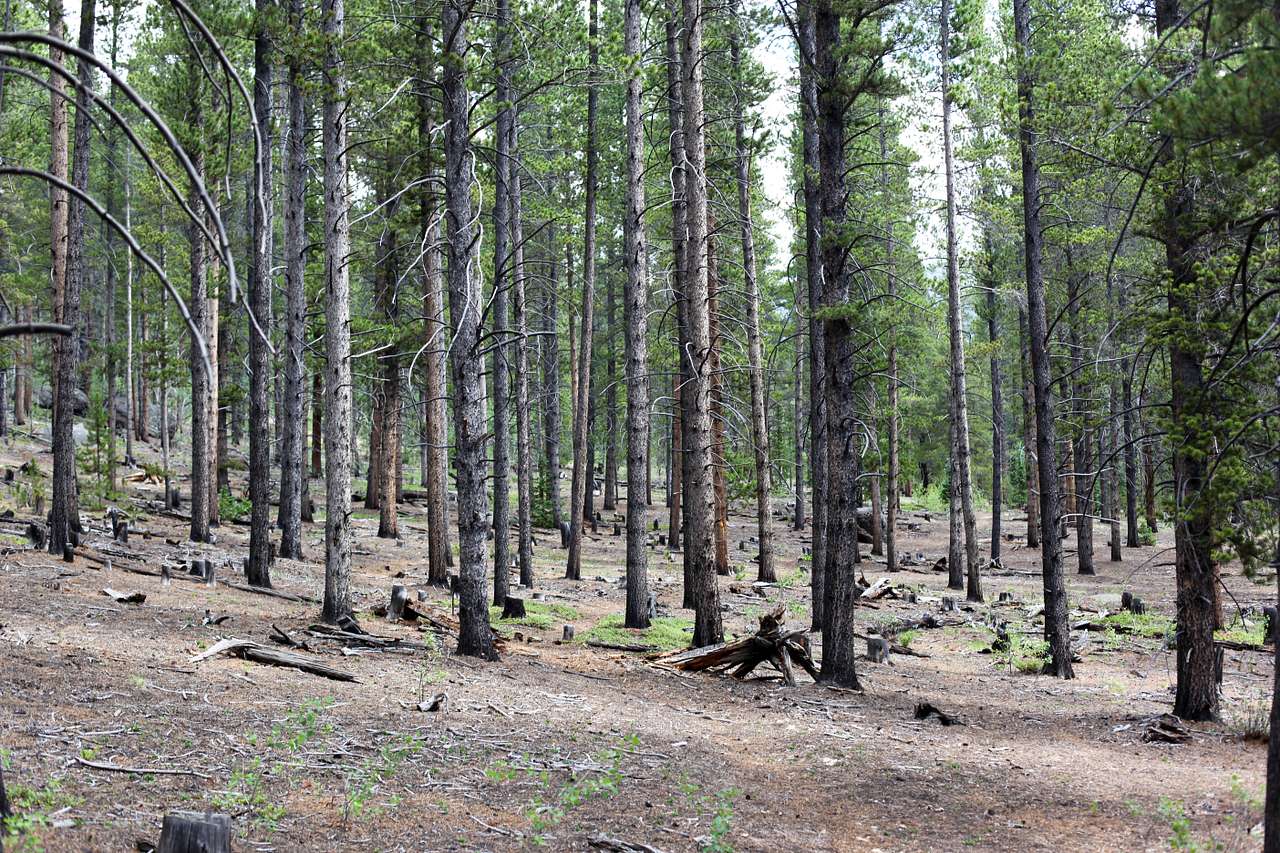Indian Creek Campground