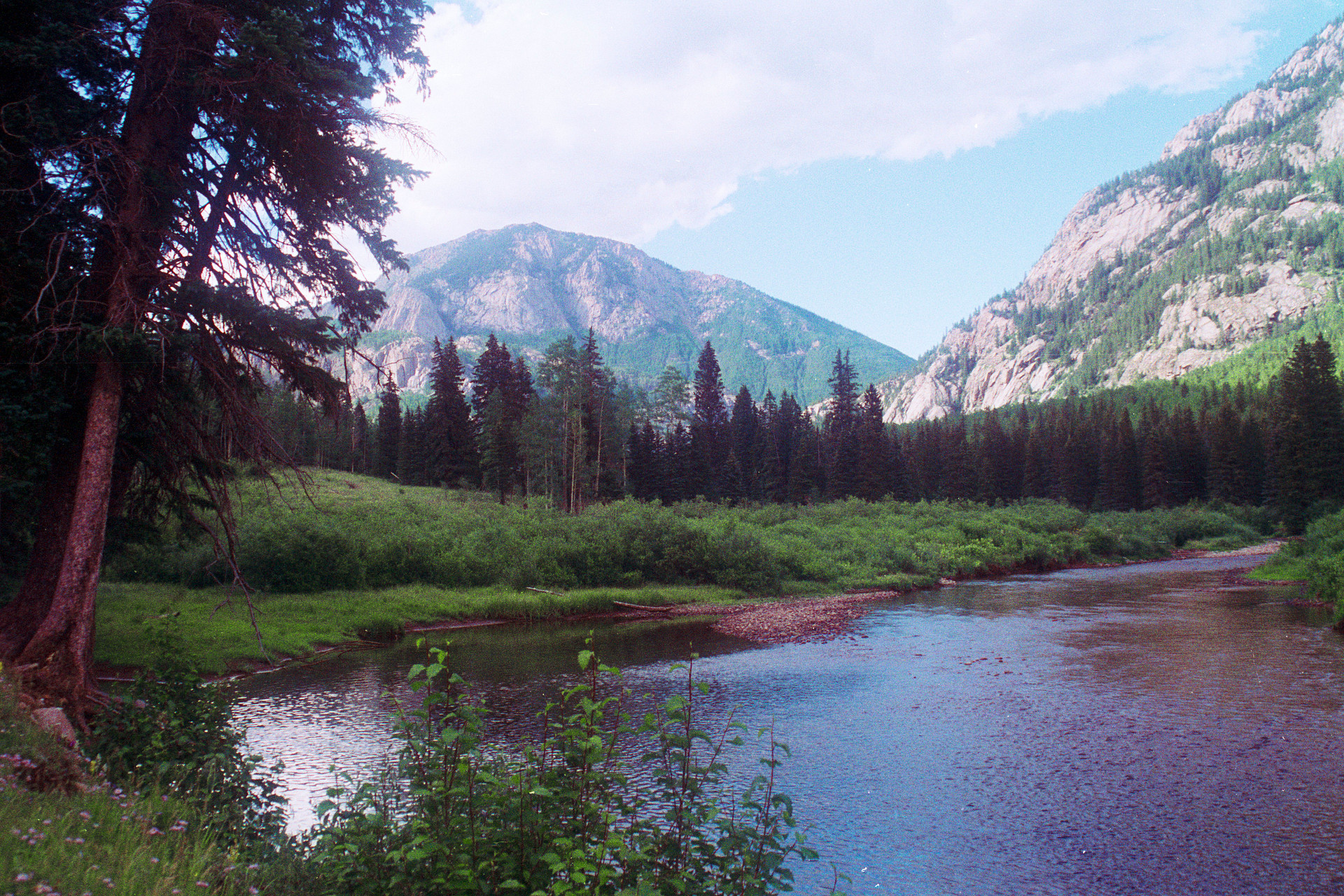 Williams Creek Campground