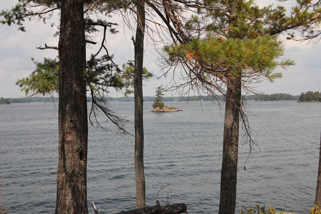 Wellesley Island State Park Campground