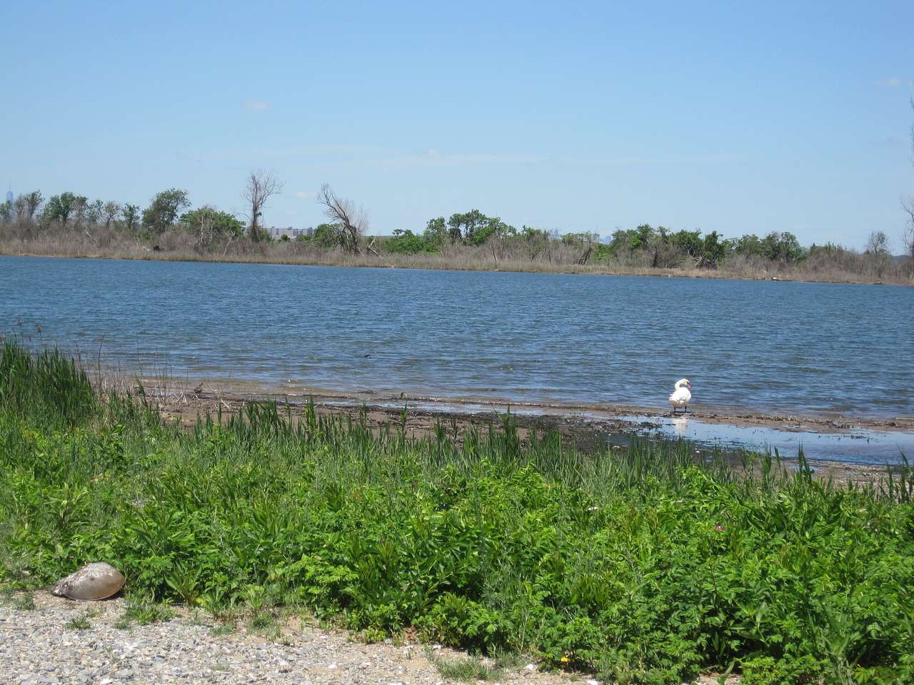 Fort Wardsworth