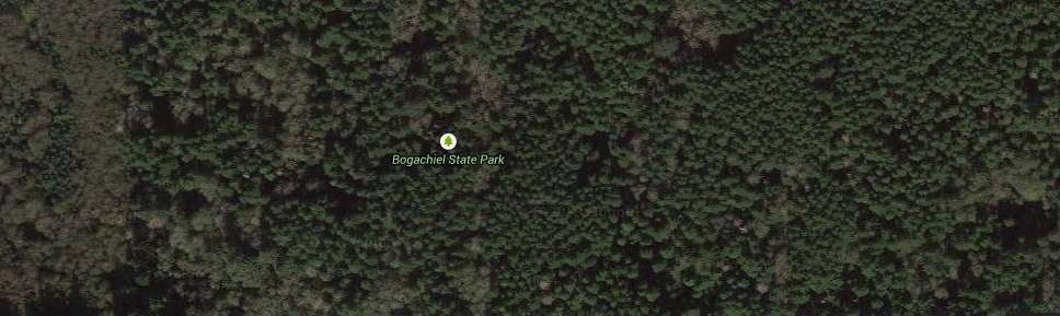 Bogachiel State Park