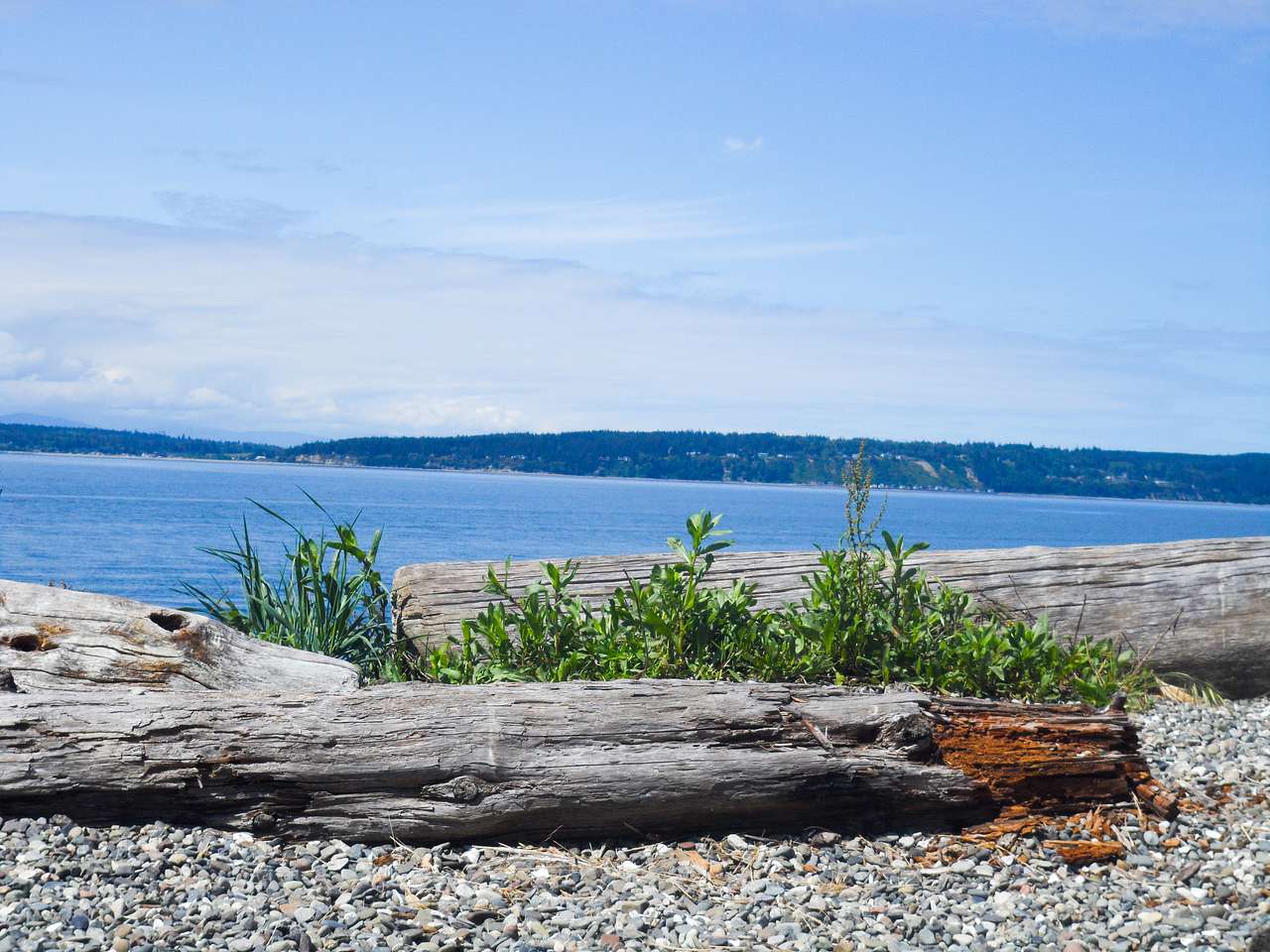 Camano Island State Park