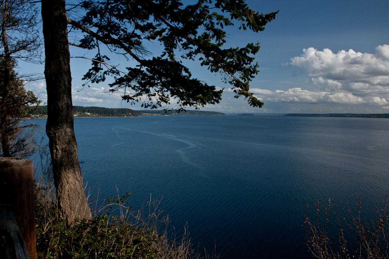 Camano Island State Park