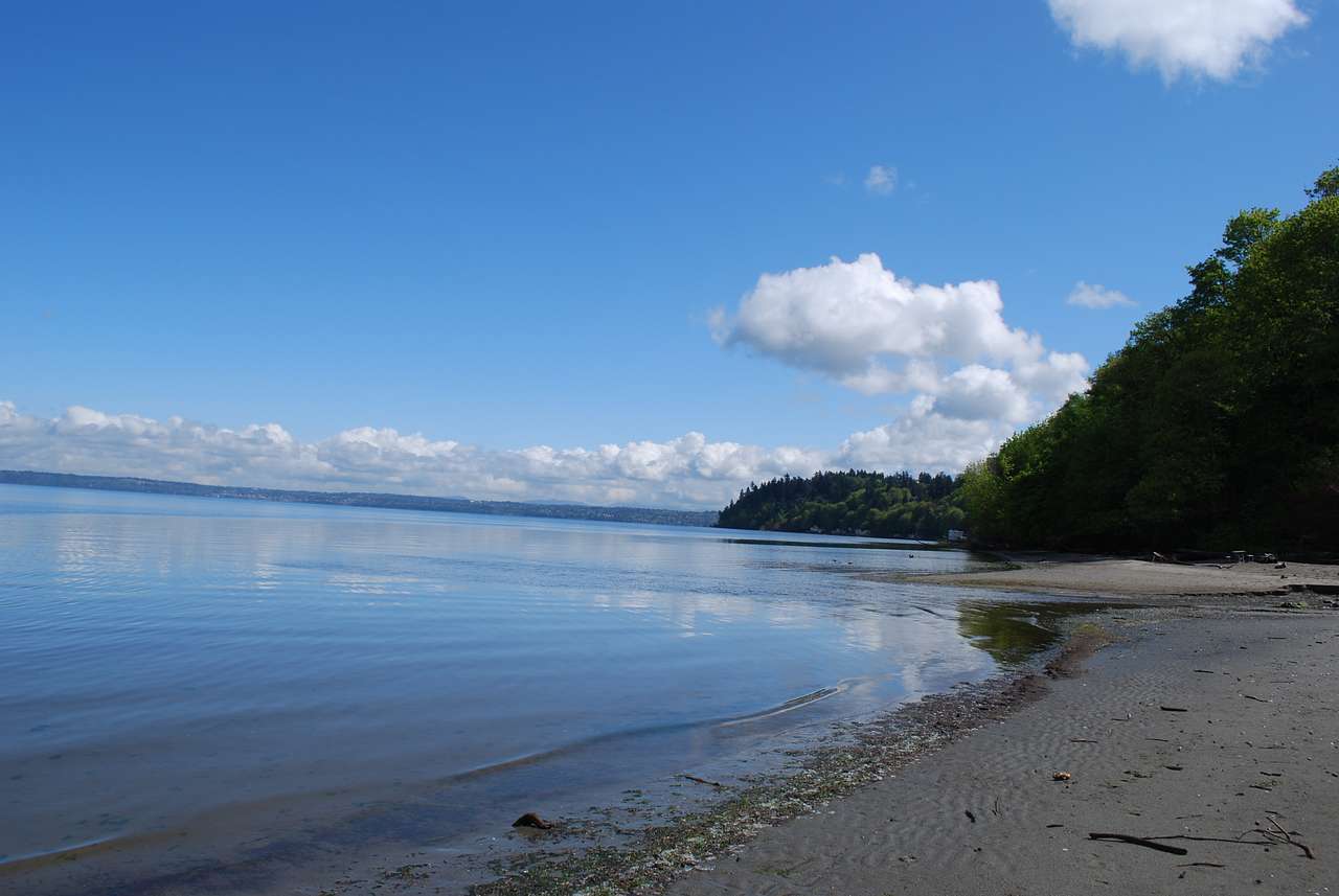 Dash Point Campground