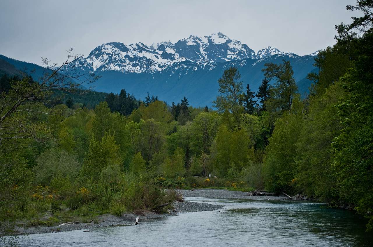 Dosewallips State Park