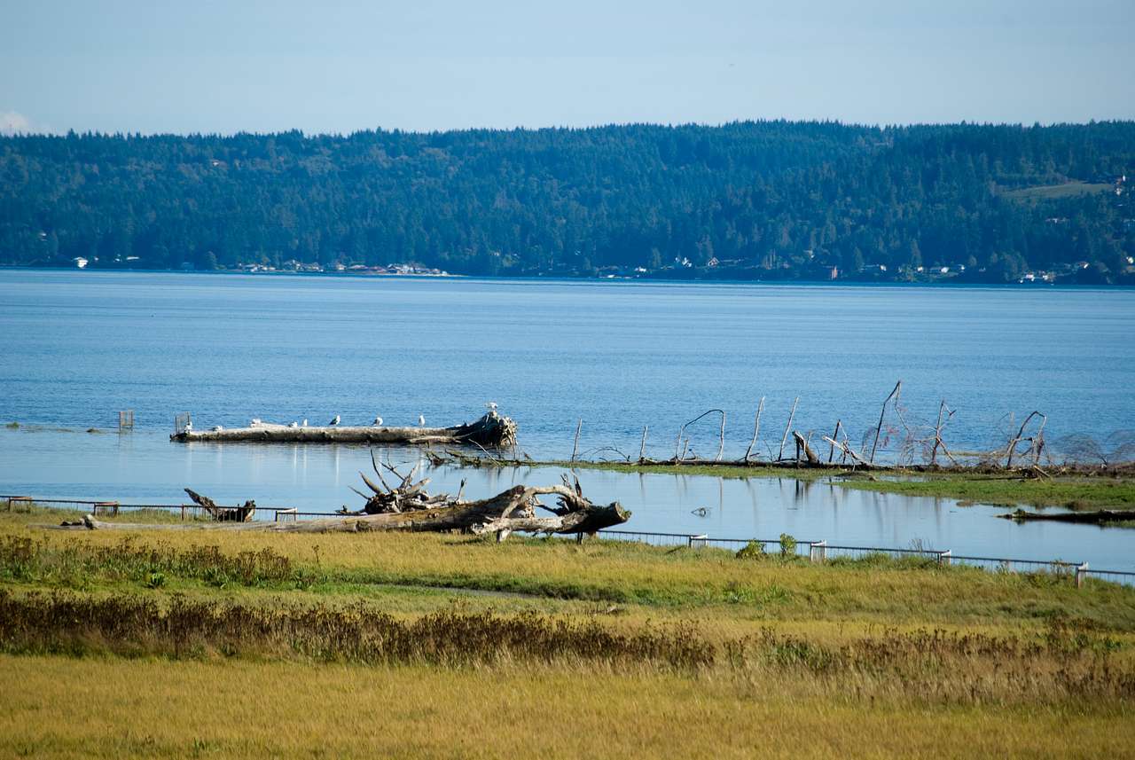 Dosewallips Campground