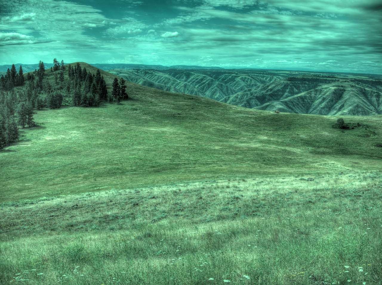 Fields Spring State Park
