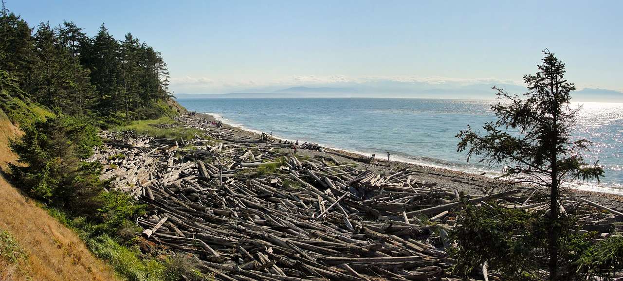 Fort Ebey State Park