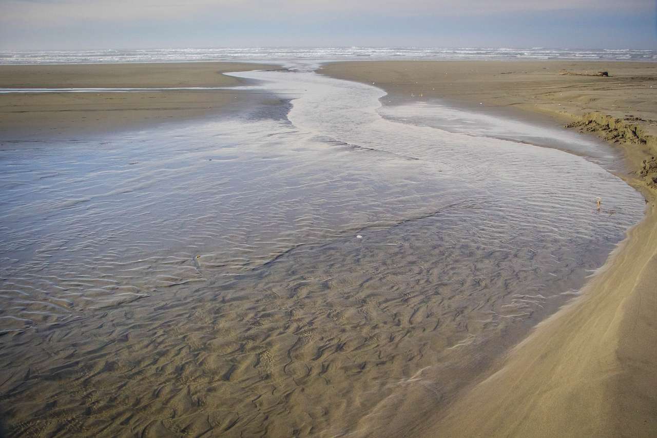 Grayland Beach Campground