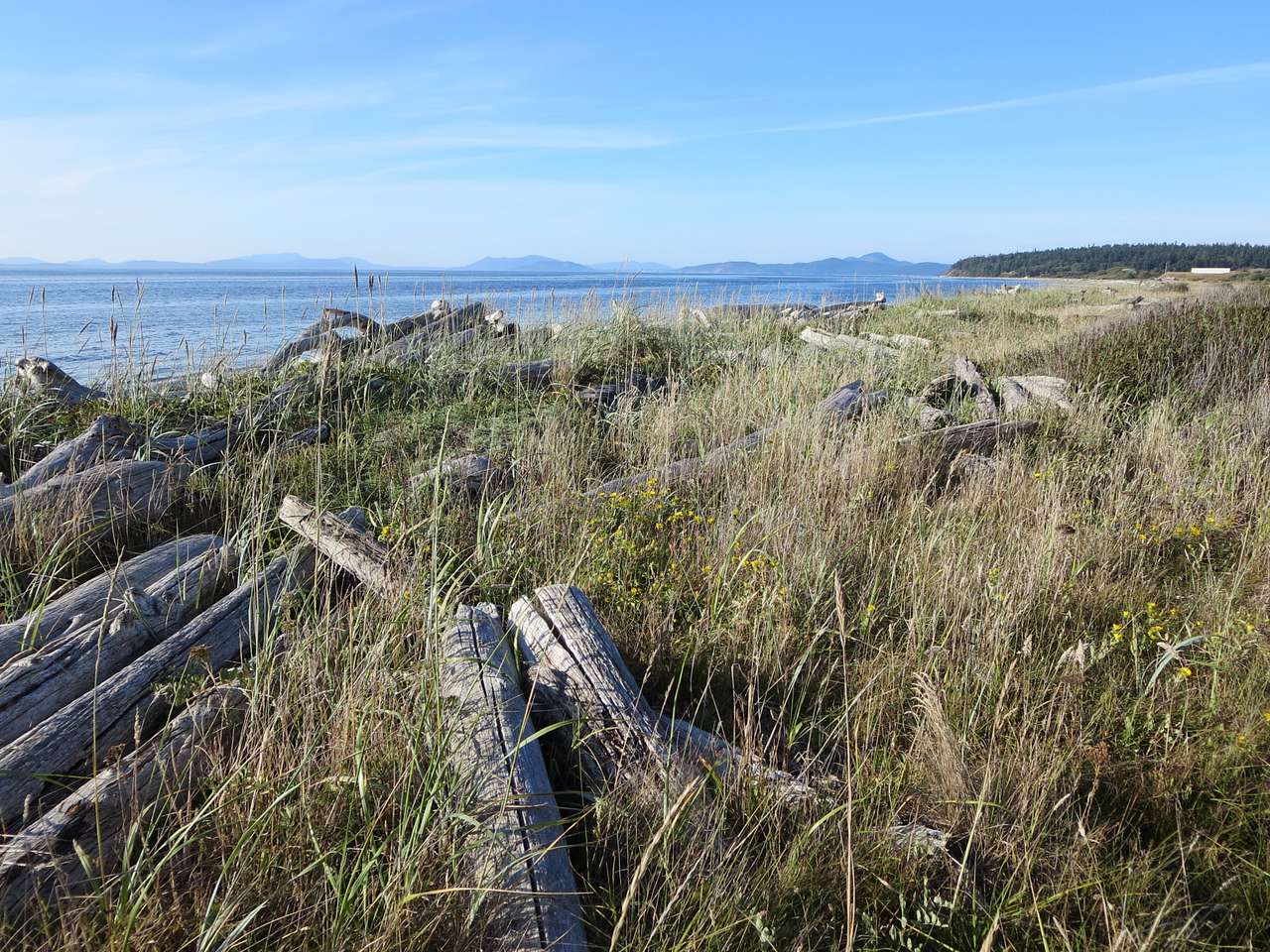 Joseph Whidbey State Park