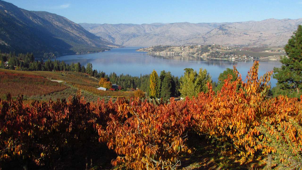 Lake Chelan Campground
