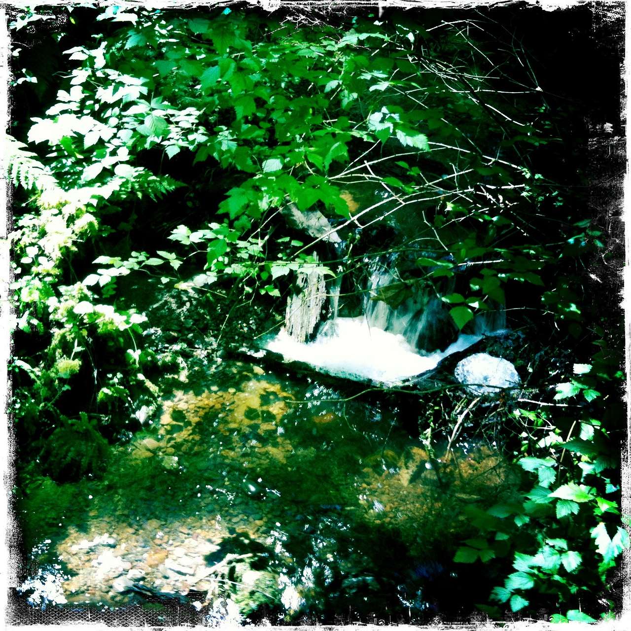 Sequim Bay Campground