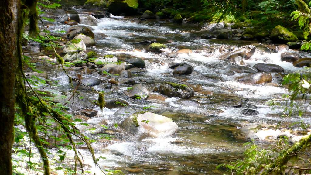 Wallace Falls State Park