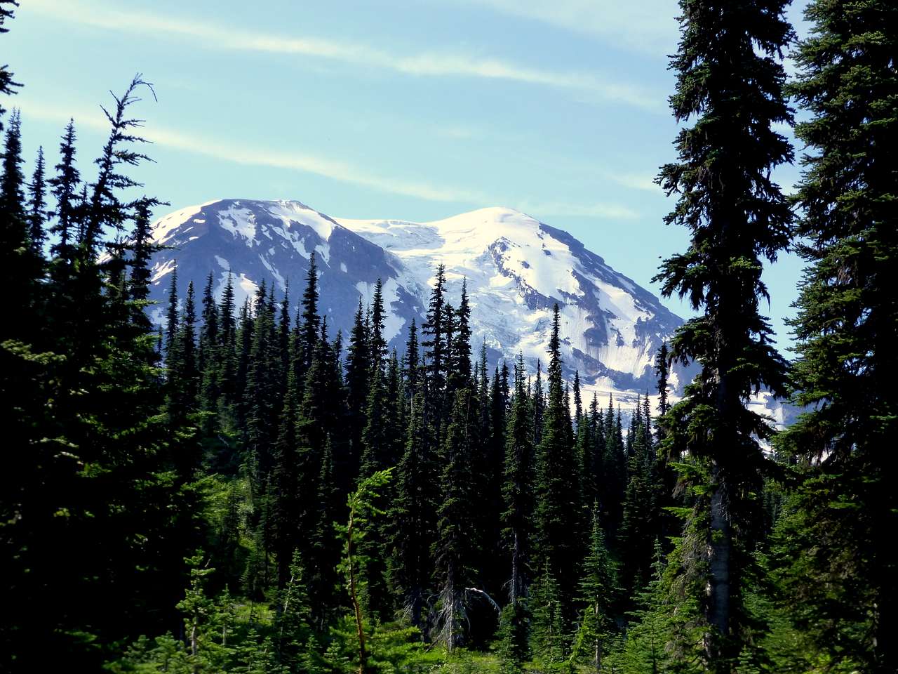 Government Mineral Springs Campground