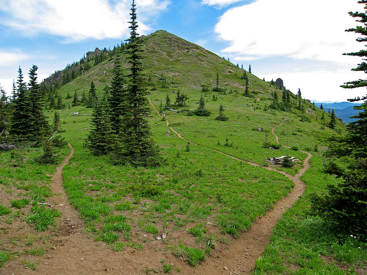 Silver Fir Campground