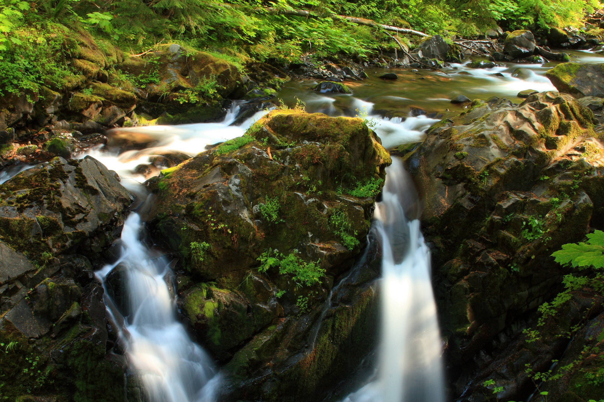 Graves Creek Campground