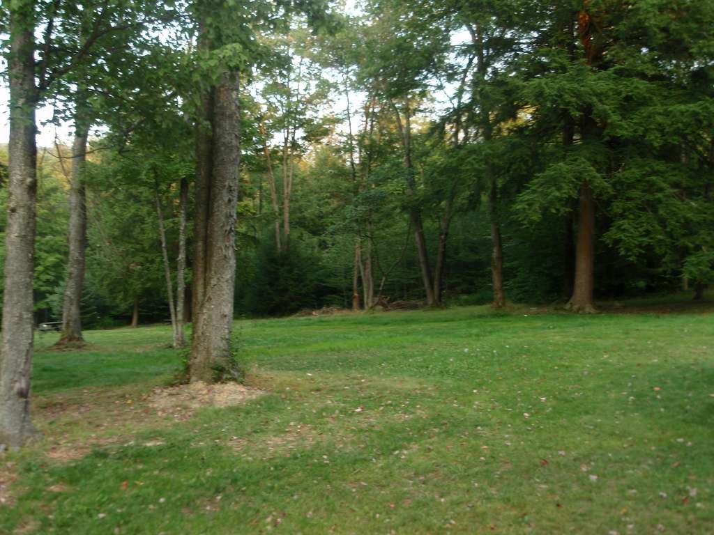 Chapman State Park