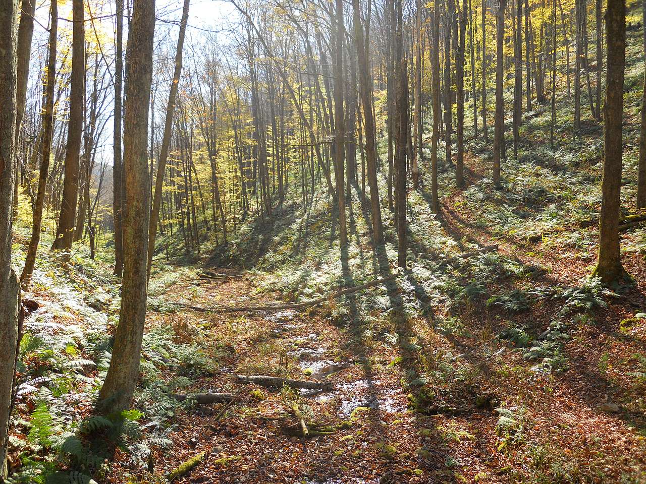 Ole Bull State Park