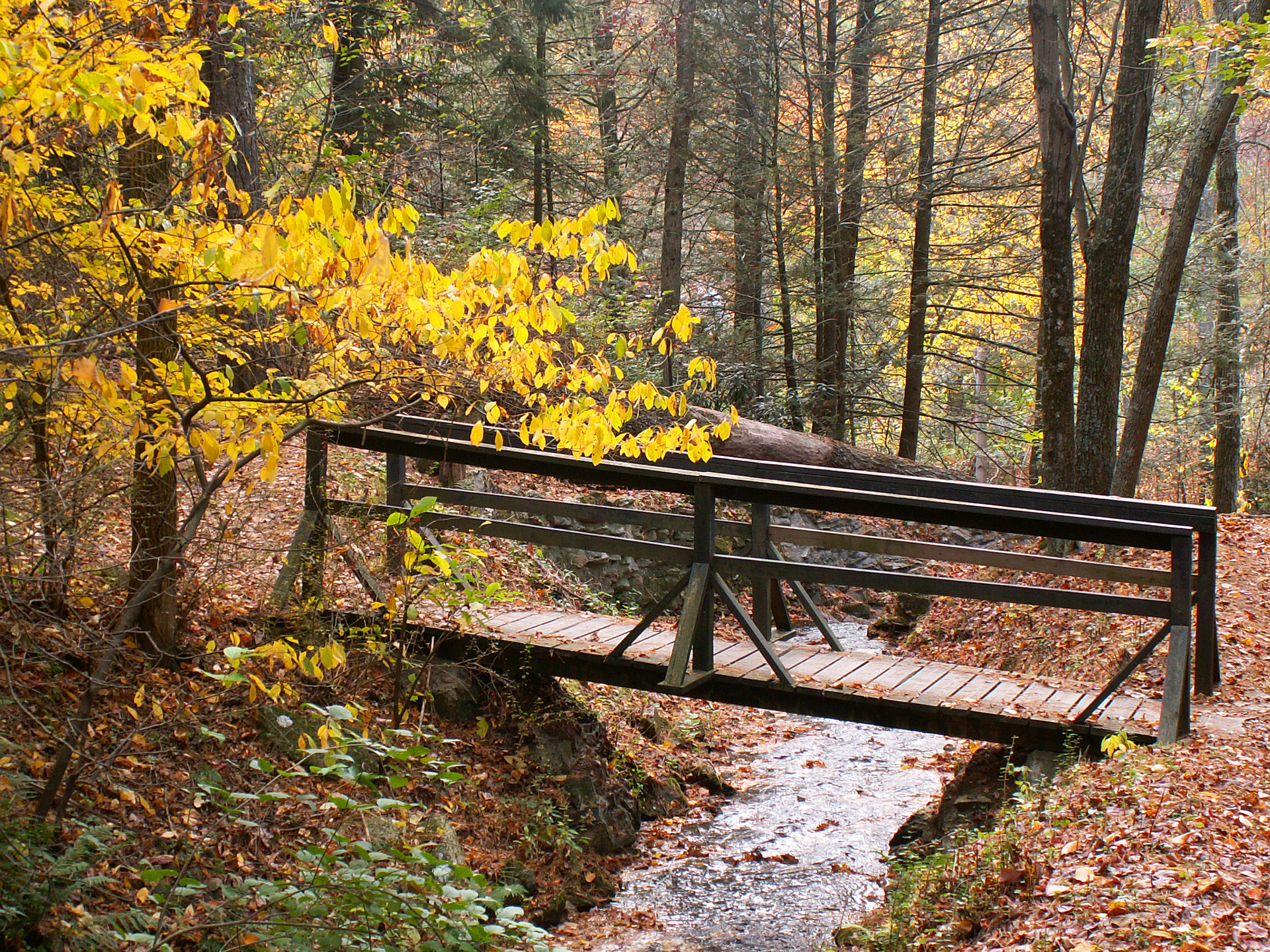 Caledonia State Park