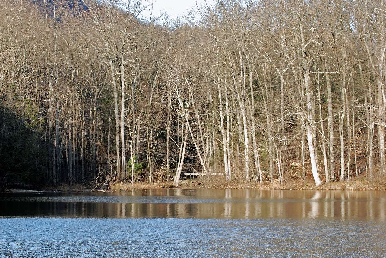 Colonel Denning Park Campground