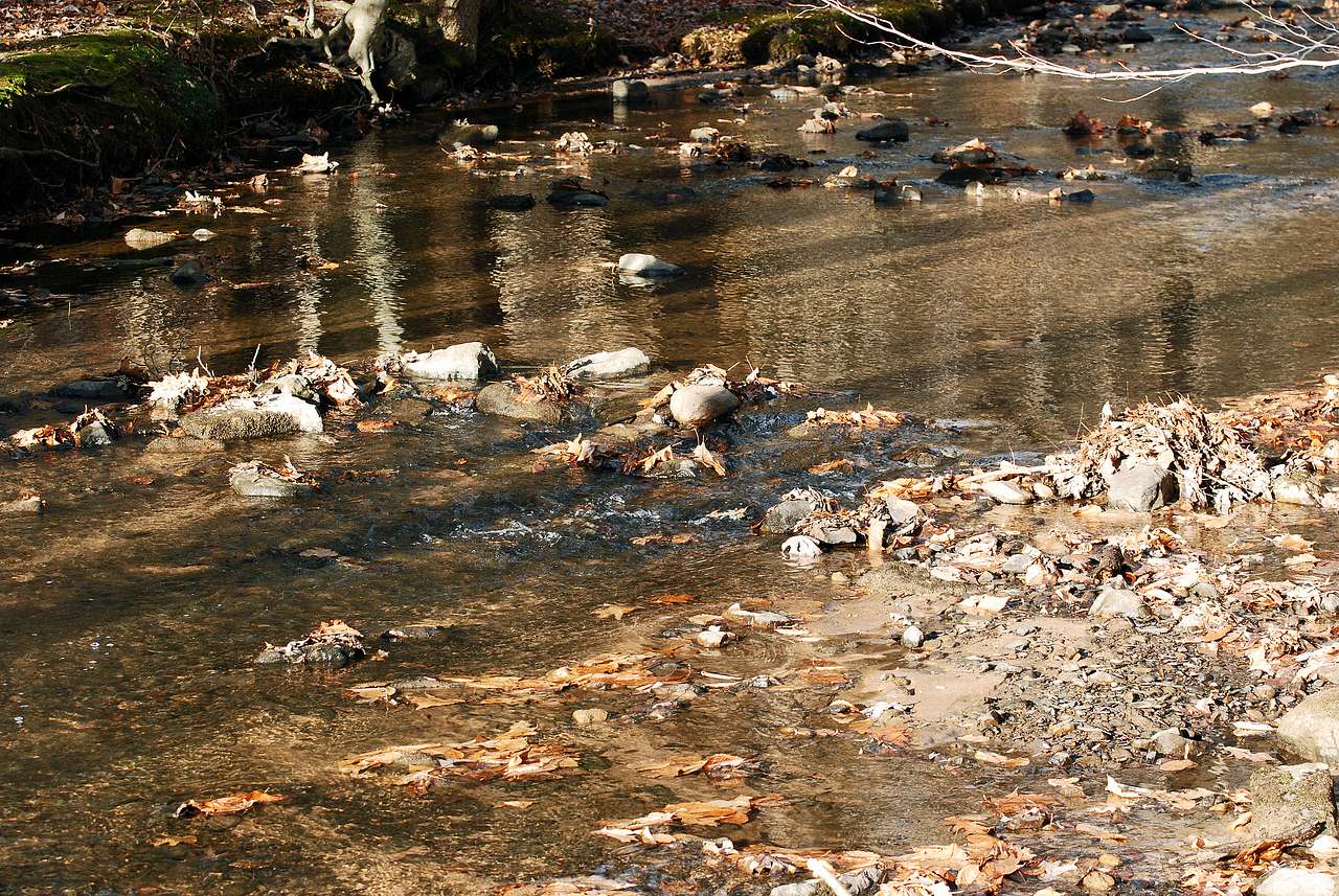 Colonel Denning Park Campground